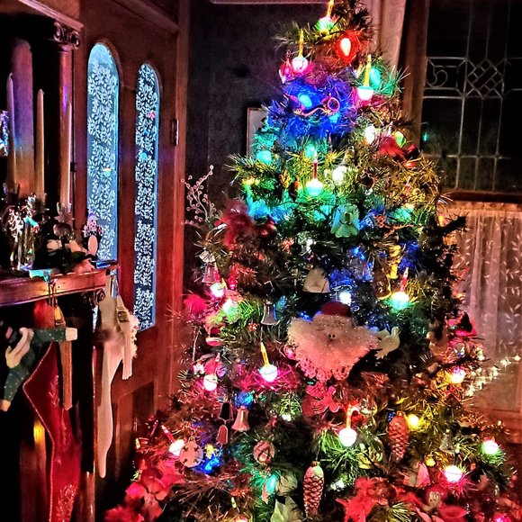 Meet your Posher Ambassador Lawana - Picture 14 of 15